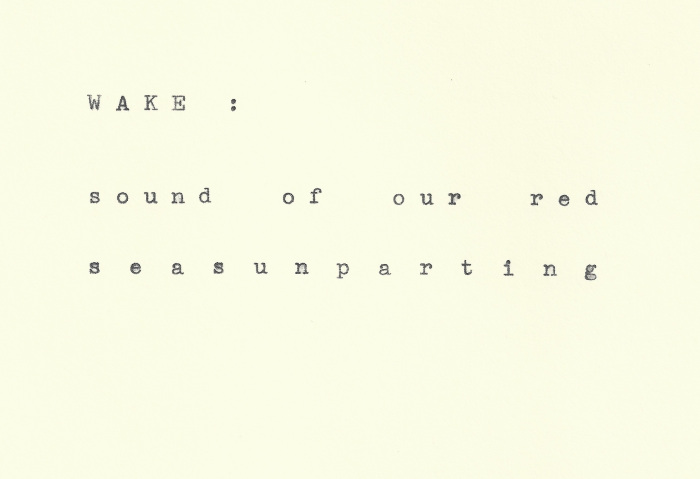 wernet_wake(1)