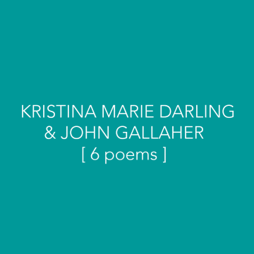 DARLING&GALLHER BUBBLE