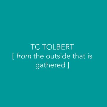 Tolbert Bubble