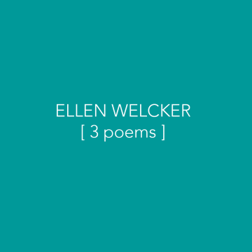 Welcker Bubble
